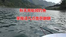秋天用蚯蚓钓鱼掌握这几点，鱼获翻一翻