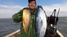 阿阳出海捕到极品，远远望去似“金枪鱼”，黄瓜鱼都不管了赶紧拉
