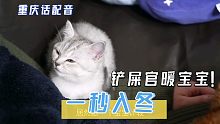 天气一秒入冬，铲屎官成了猫咪们的暖宝宝，重庆话配音