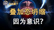 【俗说量子】人的意识导致波函数坍缩？（第12期）