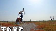 带你走进天津油田，一起感受一下抽油的磕头机，你见过吗？