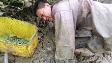 洞里藏着吃螃蟹的鱼，老旺伸手进去抠出十几条，一条比一条大