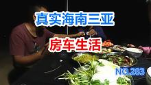 房车露营三亚海边，自制猪头肉焖子，太美味了