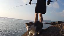 带猫咪海边钓鱼，顺便加个餐！...