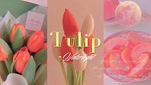 Waterlight || 郁金香Tulip•助眠音 ||