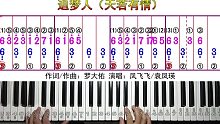 追梦人（天若有情）零基础钢琴教学教程带指法双手简谱五线谱