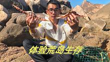 荒岛生存体验，制作新型陷阱收获惨淡，失望过后收获花盖蟹，最终美餐