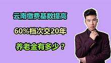 云南的社保最低缴费基数，提高至3770元，交20年能领多少养老金？