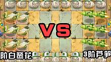 3阶白鹭花战机vs3阶芦笋战机，谁才是机王？