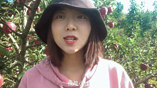 去年说要搬迁今年还在卖苹果？甘肃兰州新区搬迁咋样了，小佳说出心里话
