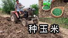 婷婷家开始种玉米，这种方法过时吗？中途老公急忙上街买种子
