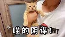 小橘猫的套路么？明明快要养肥了，结果现在又出了这件事情？