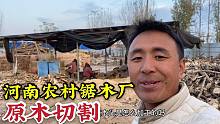 河南农村现代化锯木厂实拍，这么大块木材进行快速切割，真先进！
