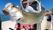 台风刚过就出海，今天鱼个头真大，本场最大一条被阿杰收入囊中