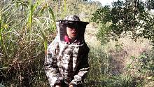 大树底下有一窝野货，穿上防蜂服决定把它带回家，第一次有点紧张
