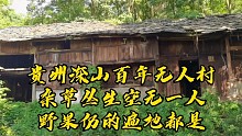 贵州深山百年无人村，杂草丛生空无一人，野果扔的遍地都是