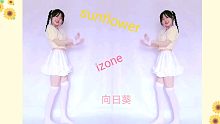 【梨子呀】卖花啦 izone|向日葵|sunflower|甜蜜翻跳