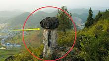 贵州大山里，一块价值连城的天然蘑菇石被发现，当地人叫它石保爷