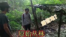 穿越原始森林没想到露营地会这么简单，在雨林里这么潮湿怎么睡？