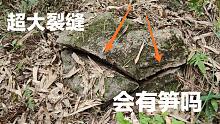 超大的石头裂缝，会是竹笋顶裂的吗？