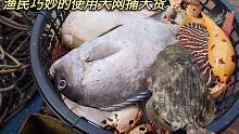广东渔民巧妙的使用大网捕鱼，抓上来的都是大鱼，这样离发财不远了