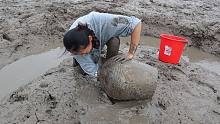 渔妹赶海发现酒坛子有大货，激动的伸手去抓，刚摸到就后悔了