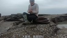阿灶在8度的天气下赶海盘坑，鱼货冻得瑟瑟发抖，抓完豪赚400多