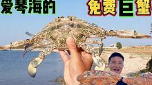 <环球探岛记>土耳其~第13天：我在爱琴海抓到了巨、巨、巨型螃蟹！