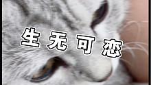 小猫咪好香啊～