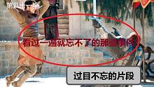 【权力的游戏】#81只要看过电视剧就不会忘记的剧情与片段