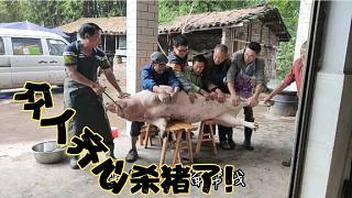 去年3480买的小猪现在能卖多少？农村养猪伤不起，干脆不卖了！
