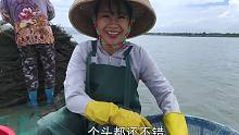 真实渔民的现状，看到阿渔妹收获后，网友：宁愿去工厂拧螺丝