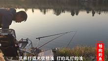 冬天野钓鲫鱼，不妨试试打隔夜窝，第二天开启连杆模式