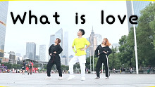 [晨晨✖️宋宋] What is love-抓住一只晨晨就尬起了舞-整段垮掉