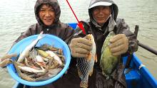 小渔雨天出海收笼，开张就上来条大鱼，出海20多年的渔爸也不认识