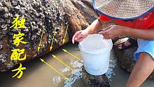 阿平制作“独家配方”，肥美诱饵让海货都无法抗拒，纷纷中招