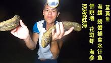 阿平赶海大丰收，抓佛跳墙、海参、捡大海螺，见螃蟹捕食水针鱼