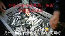 鱼苗少，连夜从湖南省调鱼苗，鱼贩强硬！5亩放500斤大家怎么看？