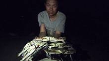 抓螃蟹的季节到了，小伙带你赶海抓蟹，一下一只真过瘾