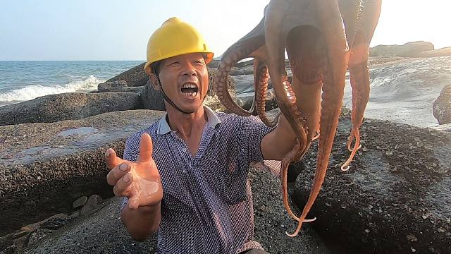 新海域岸边搁浅大猛货,来叔赶海来得早正好碰见,60一斤挺值钱的