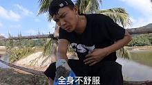 小伙经历了赶海以来最疼的一次，被巨钳螃蟹咬了一口，差点哭了