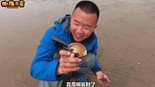 二蛋赶海挖嘎啦，沙滩上全是半斤一个的大嘎啦，直接扛走半麻袋！