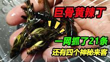 8块的网一下抓了21条黄辣丁，清点个数时蒙圈了，还有4个神秘来客