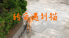 转角遇到猫
