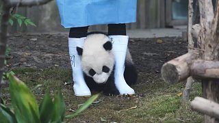 抓到你啦！休想逃脫喲！
