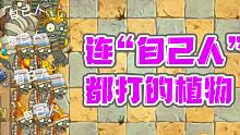 不分敌我？连友方僵尸都打的植物，你知道几个？