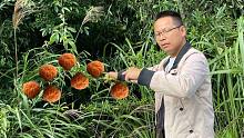 我发布了一个新视频，快来围观吧！