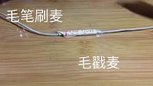 【馨崽助眠】毛笔刷麦重制 掉毛毛笔上的毛戳麦