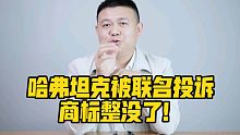 哈弗坦克被联名投诉，商标整没了！