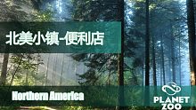 北美小镇-第四期便利店